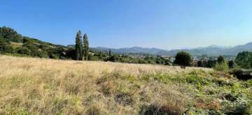Vistas