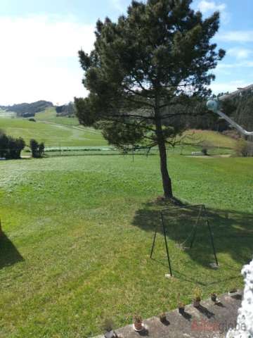 Vistas