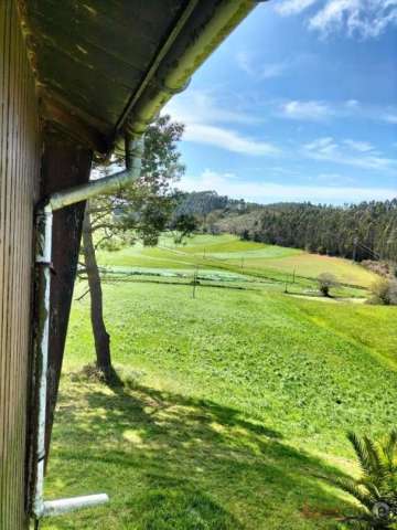 Vistas