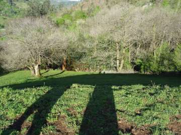 Parcela