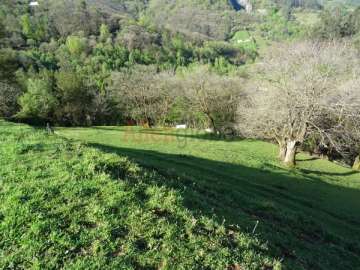 Parcela