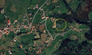 Cenital