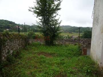 Jardín