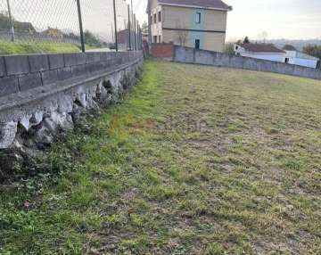 Detalle