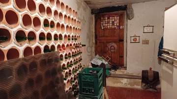 bodega