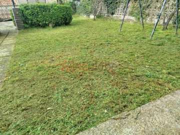 Jardín