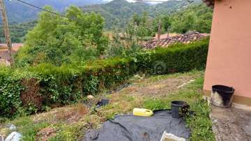 Jardín