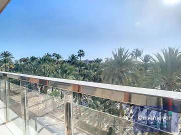 Vistas