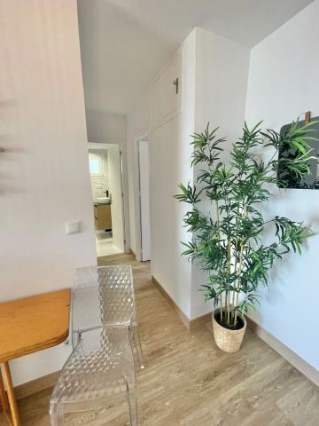 https://cdn.resales-online.com/public/jss4682jto/properties/df6a738f5d7211ef90df0217bc231ef4/w1200/39-a493fe9149752455d4aa759b42ca0ea1.jpg?v=1748346095